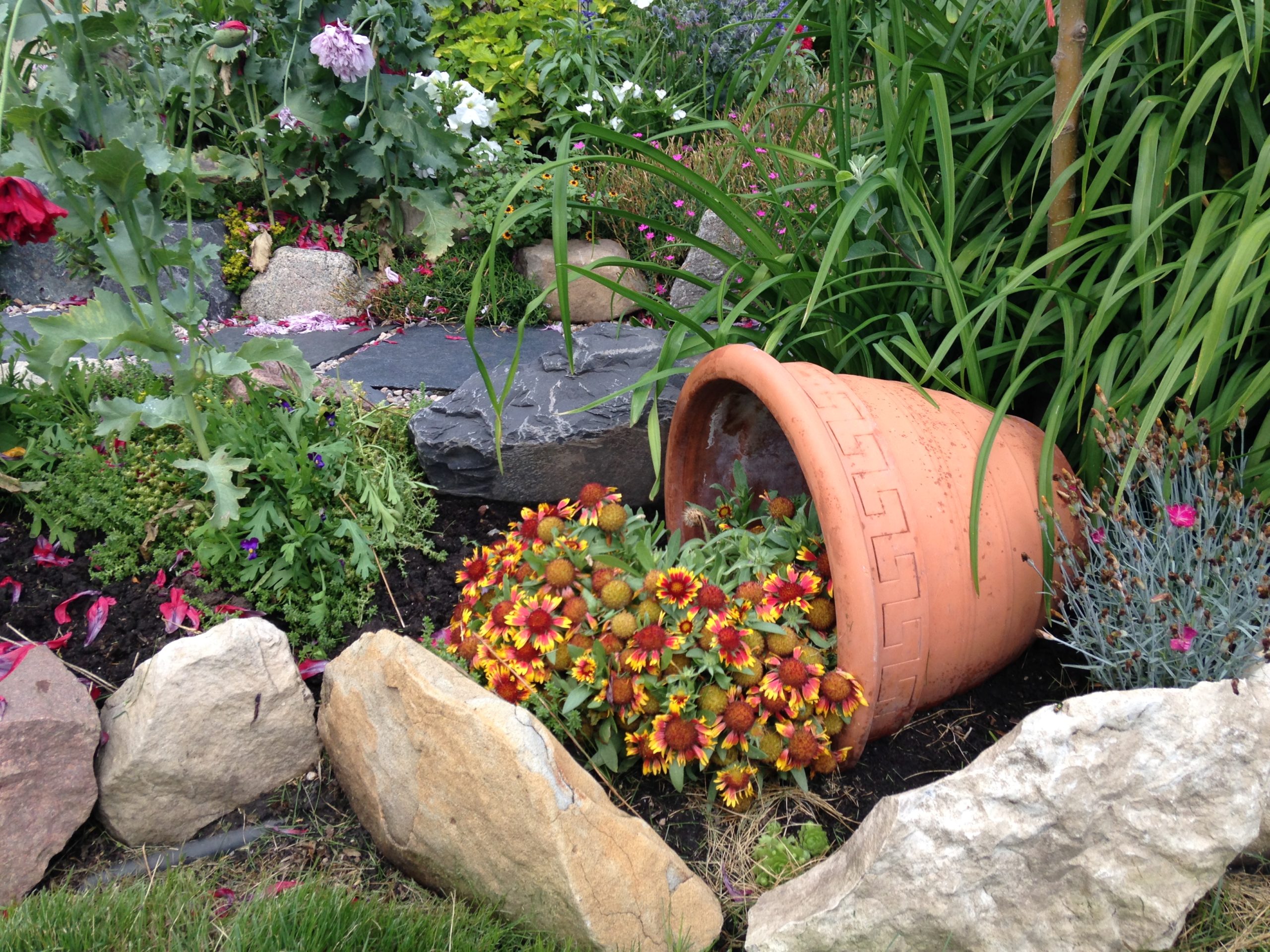 Sherwood Nurseries