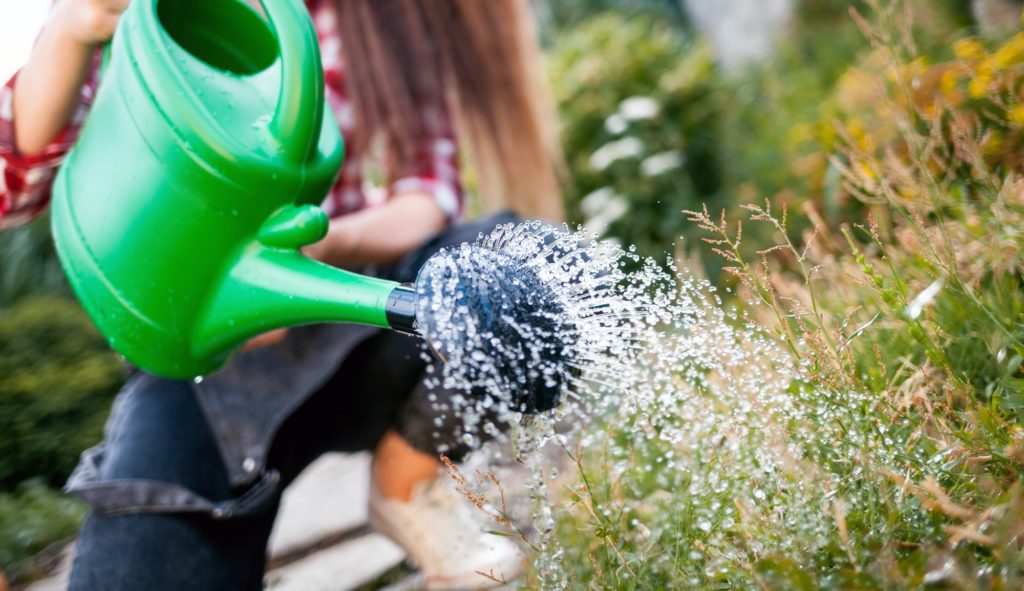 Watering Guide