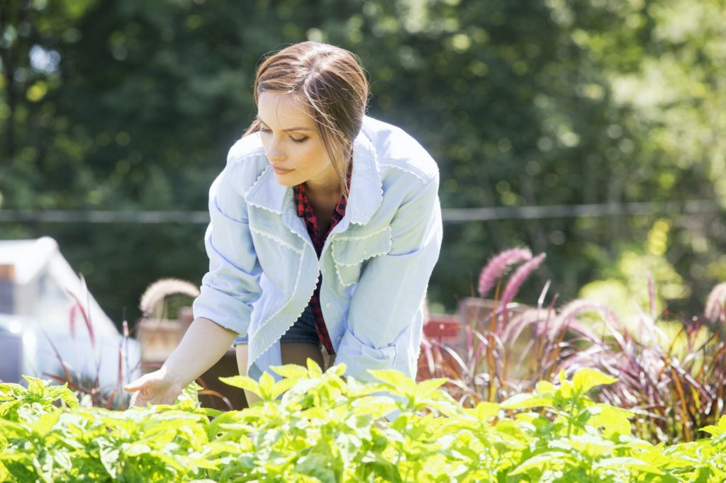 A young woman standing in a garden or commercial plant nursery, tending young perennial plants.